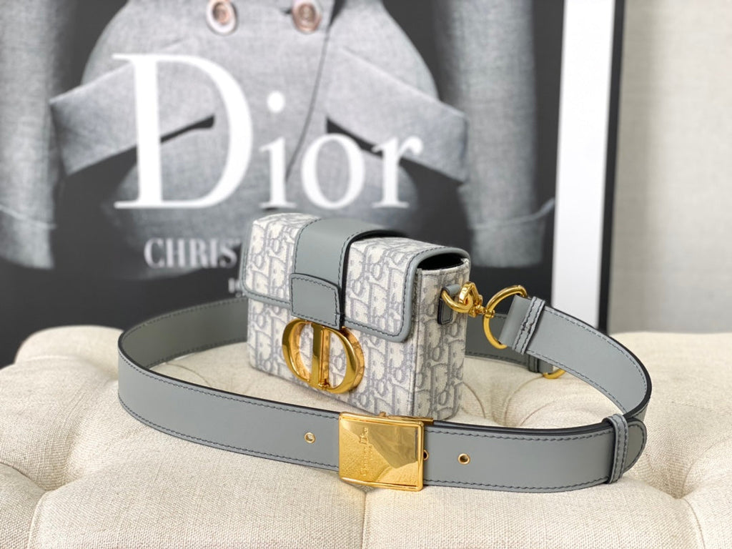 DIOR MONTAIGNE 19 HANDBAG IN GREY CALFSKIN