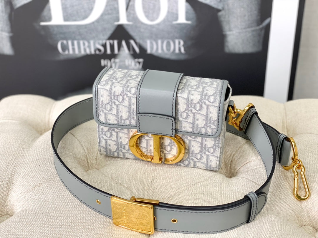 DIOR MONTAIGNE 19 HANDBAG IN GREY CALFSKIN