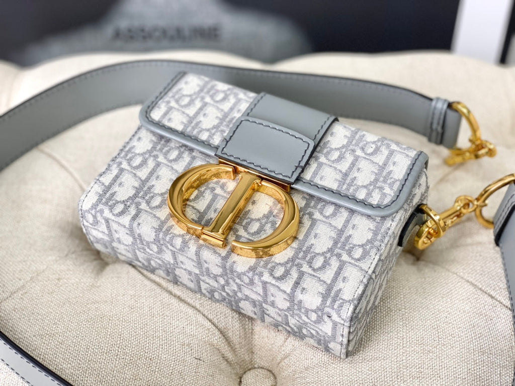 DIOR MONTAIGNE 19 HANDBAG IN GREY CALFSKIN